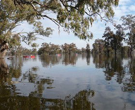 Henty Government Dam Nature Reserve - Your Accommodation 1