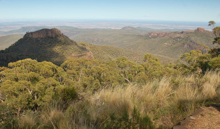 Kaputar NSW Your Accommodation