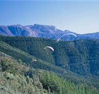 Buffalo Brewery - Your Accommodation