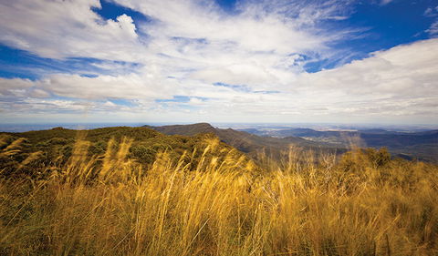 Mount Kaputar Summit Walk - Your Accommodation 1