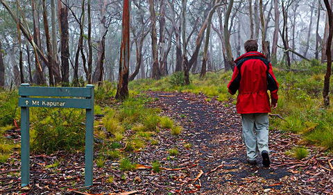 Mount Kaputar Summit Walk - Your Accommodation 2