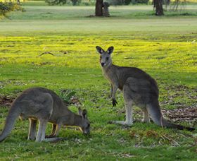 Benalla Golf Club - Your Accommodation 1