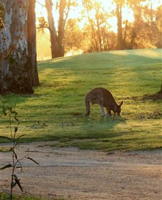 Benalla Golf Club - Your Accommodation 4