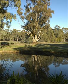 Benalla Golf Club - Your Accommodation 5