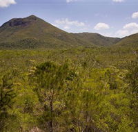 Kutini-Payamu Iron Range National Park CYPAL - Your Accommodation