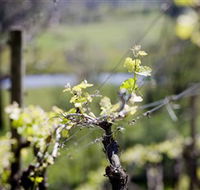 Lethbridge Wines - Your Accommodation