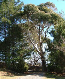 Habitat Vineyard - Your Accommodation 1
