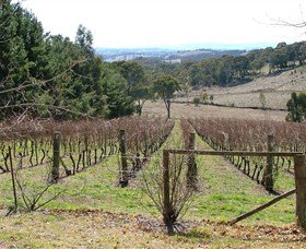 Habitat Vineyard - Your Accommodation 0