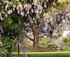 Wombat Heights Orchard And Grog Shed - Your Accommodation 2