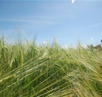 150 Degrees East Meridian - Your Accommodation