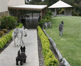Otway Estate - Your Accommodation 5