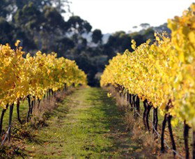 Otway Estate - Your Accommodation 6