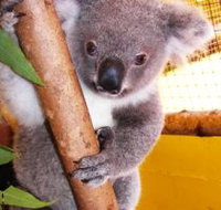 Cooberrie Park Wildlife Sanctuary - Your Accommodation