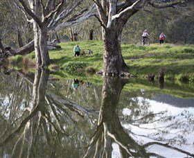 Wagirra Trail And Yindyamarra Sculpture Walk - Your Accommodation 1