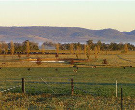 Holbrook NSW Your Accommodation