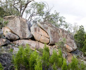 Frog Rock - Your Accommodation 1