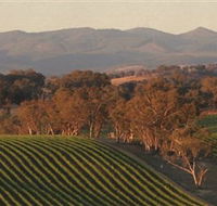 Angullong Wines - Your Accommodation