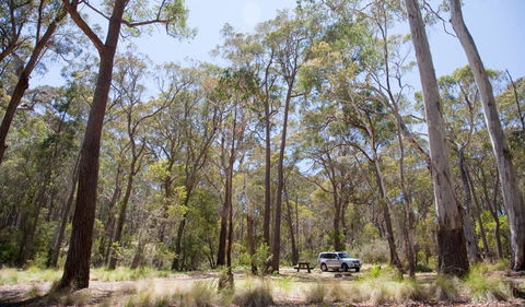 Coolah Tops National Park - Your Accommodation 0