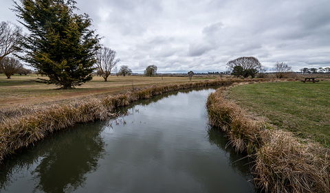 Mother Of Ducks Lagoon Nature Reserve - Your Accommodation 0
