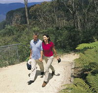 Blue Mountains Walking Tracks - Your Accommodation