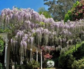 Mount Wilson NSW Your Accommodation