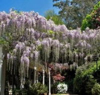 Nooroo Gardens - Your Accommodation