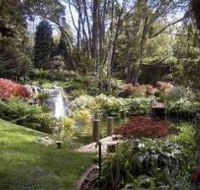 Windyridge Garden Mount Wilson - Your Accommodation
