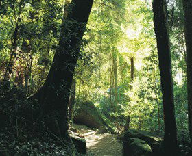 Blue Mountains National Park - Your Accommodation 5