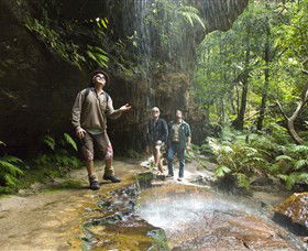 Blue Mountains National Park - Your Accommodation 3