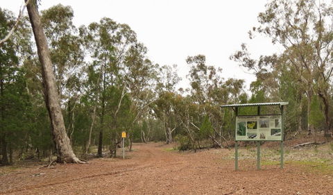 Little Llangothlin Picnic Area - Your Accommodation 2