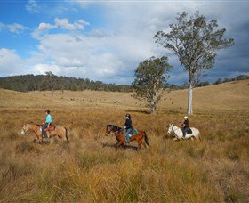 Chapman Valley Horse Riding - Your Accommodation 0
