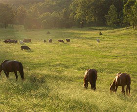 Chapman Valley Horse Riding - Your Accommodation 4