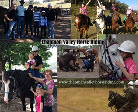 Chapman Valley Horse Riding - Your Accommodation 5