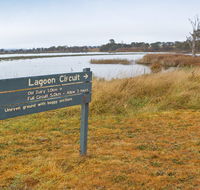 Lagoon Circuit walking track - Your Accommodation