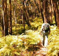 Federal Pass - Your Accommodation