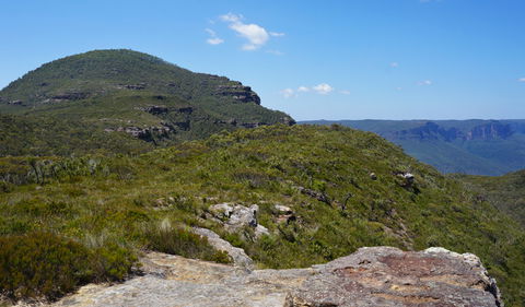 Mount Banks Road Cycle Route - Your Accommodation 0