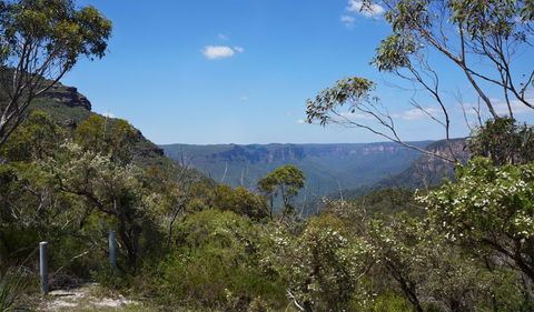 Mount Banks Road Cycle Route - Your Accommodation 2