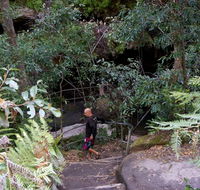 Leura Cascades Fern Bower - Your Accommodation