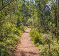 Mares Forest Creek walking track - Your Accommodation