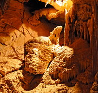 Fig Tree Cave - Your Accommodation