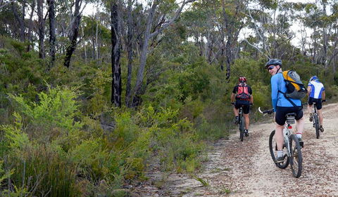 McMahon's Point Ride - Wentworth Falls - Your Accommodation 0