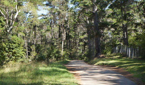 McMahon's Point Ride - Wentworth Falls - Your Accommodation 2