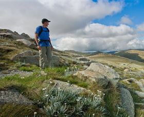 Kosciuszko National Park - Your Accommodation 3
