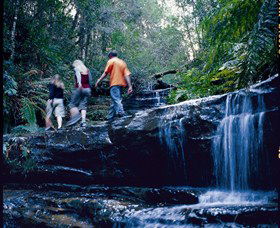 South Lawson Waterfall Circuit - Your Accommodation 0