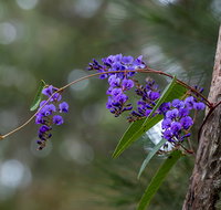 Mann River Nature Reserve - Your Accommodation