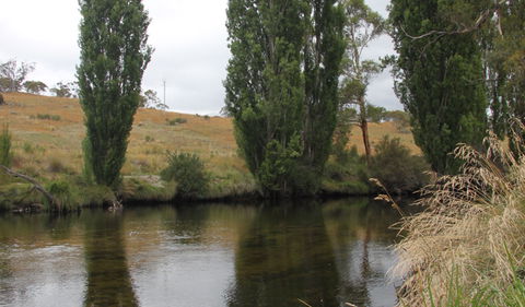Thredbo River Picnic Area - Your Accommodation 3