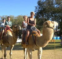 Calamunnda Camel Farm  - Your Accommodation