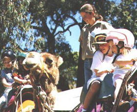 Calamunnda Camel Farm  - Your Accommodation 2