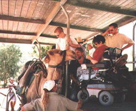 Calamunnda Camel Farm  - Your Accommodation 3