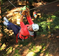 Trees Adventure Grose River Park - Your Accommodation